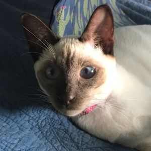 Meet your Posher, Tracy